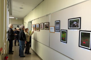 展示４